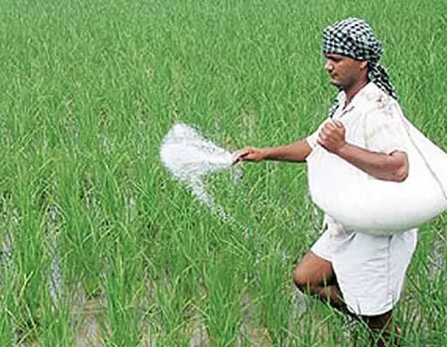 Tamil Nadu: एग्री स्टैक जो भूमि दस्तावेजों को एकीकृत करता Tamil Nadu: एग्री स्टैक जो भूमि दस्तावेजों को एकीकृत करता