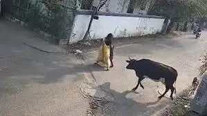 माइक्रोवेव का ख़तरा: अधिकारियों से तत्काल कार्रवाई की जरूरत माइक्रोवेव का ख़तरा: अधिकारियों से तत्काल कार्रवाई की जरूरत