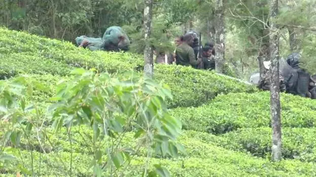 Kerala: वनदीपेरियार में वन विभाग द्वारा बेहोश कर पकड़े गए बाघ की मौत Kerala: वनदीपेरियार में वन विभाग द्वारा बेहोश कर पकड़े गए बाघ की मौत