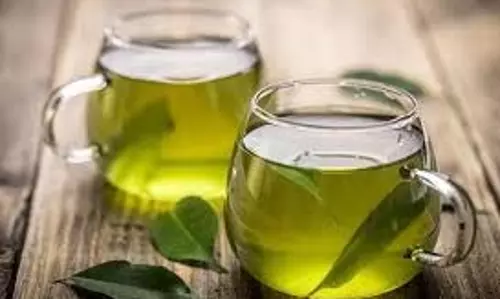 Health: वजन कम करने के अलावा इन समस्याओं में भी बेहद फायदेमंद है ग्रीन टी Health: वजन कम करने के अलावा इन समस्याओं में भी बेहद फायदेमंद है ग्रीन टी