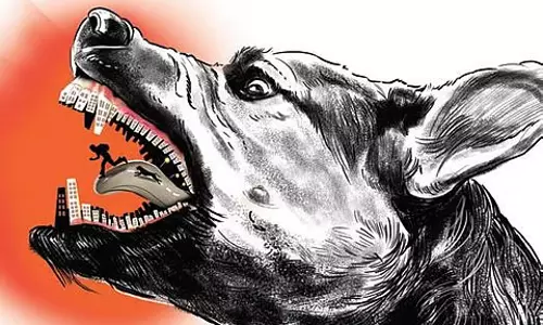 रेबीज का टीका लगवाना अनिवार्य है, भले ही आपको कुत्ते ने ना काट हो! : सार्वजनिक स्वास्थ्य विभाग रेबीज का टीका लगवाना अनिवार्य है, भले ही आपको कुत्ते ने ना काट हो! : सार्वजनिक स्वास्थ्य विभाग
