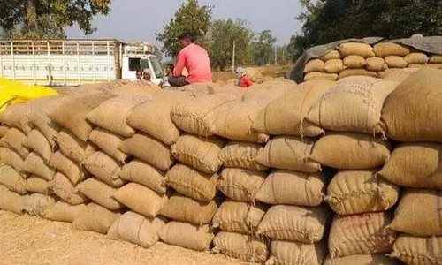 Odisha सरकार ने धान खरीदने के लिए 31 मार्च की समयसीमा तय की Odisha सरकार ने धान खरीदने के लिए 31 मार्च की समयसीमा तय की