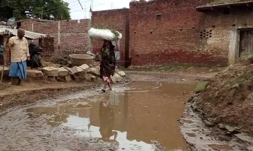 Kampil: सडक़ पर भरे पानी में पनप रही संक्रामक बीमारियां, ग्रामीणों में रोष Kampil: सडक़ पर भरे पानी में पनप रही संक्रामक बीमारियां, ग्रामीणों में रोष