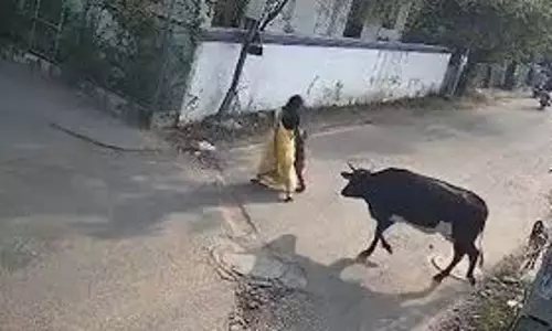 माइक्रोवेव का ख़तरा: अधिकारियों से तत्काल कार्रवाई की जरूरत