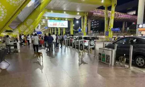 Chennai हवाई अड्डे पर आवारा कुत्तों का आतंक बढ़ा, यात्रियों को परेशानी Chennai हवाई अड्डे पर आवारा कुत्तों का आतंक बढ़ा, यात्रियों को परेशानी