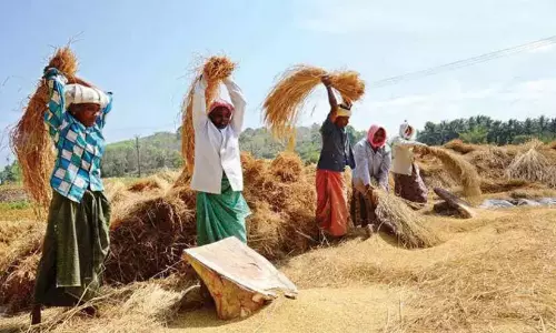 राज्य सरकार की कार्रवाई से किसान धान पर आंसू बहा रहे हैं : V.D. Satheeshan राज्य सरकार की कार्रवाई से किसान धान पर आंसू बहा रहे हैं : V.D. Satheeshan