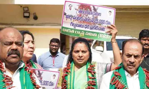 तेलंगाना परिषद में मिर्च किसानों के लिए BRS एमएलसी ने किया अनोखा विरोध प्रदर्शन