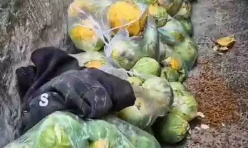 Mohali के खाना पकाने की अस्वच्छ स्थिति ने सोशल मीडिया पर आगंतुकों का गुस्सा भड़काया Mohali के खाना पकाने की अस्वच्छ स्थिति ने सोशल मीडिया पर आगंतुकों का गुस्सा भड़काया