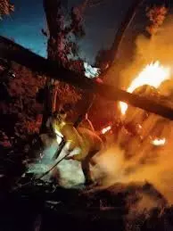 Sirmour: गुज्जर समुदाय के डेरे में भीषण आग, लाखों का नुकसान Sirmour: गुज्जर समुदाय के डेरे में भीषण आग, लाखों का नुकसान