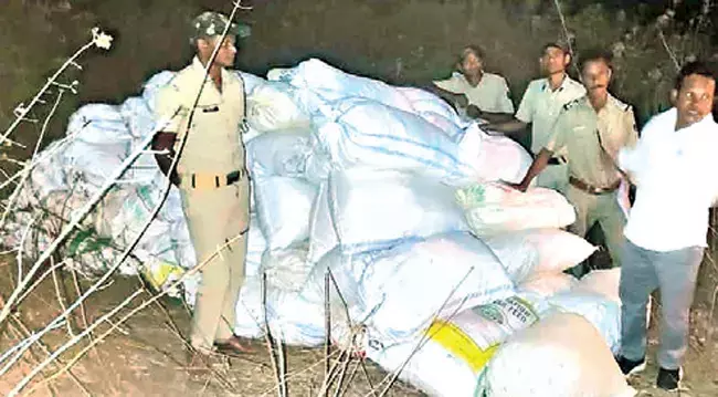 Odisha: 7 क्विंटल गांजा जब्त किये Odisha: 7 क्विंटल गांजा जब्त किये