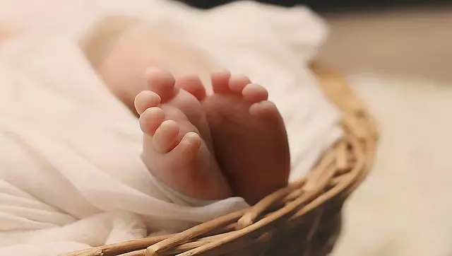 Hassan : नाले में नवजात बच्ची का शव मिला Hassan : नाले में नवजात बच्ची का शव मिला