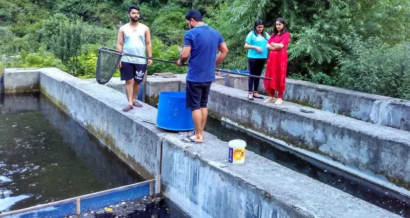 Himachal: मत्स्य विभाग ने जलवायु चुनौतियों के बीच ट्राउट किसानों को सहायता का आश्वासन दिया Himachal: मत्स्य विभाग ने जलवायु चुनौतियों के बीच ट्राउट किसानों को सहायता का आश्वासन दिया