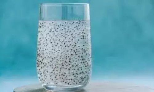 Health: जानिए रातभर भिगोए गए चिया सीड्स का पानी पीने के स्वास्थ्य लाभ Health: जानिए रातभर भिगोए गए चिया सीड्स का पानी पीने के स्वास्थ्य लाभ
