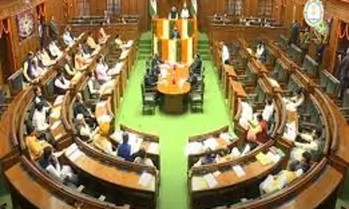 Delhi:  बजट में स्वच्छ एवं विकसित राष्ट्रीय राजधानी के लिए भाजपा का दृष्टिकोण होगा