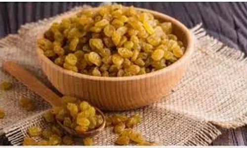 Health: हीमोग्लोबिन की कमी को दूर करती है किशमिश, जानें सुबह खाली पेट इसे खाने के फायदे Health: हीमोग्लोबिन की कमी को दूर करती है किशमिश, जानें सुबह खाली पेट इसे खाने के फायदे