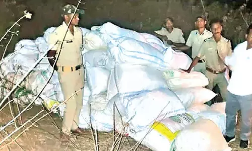 Odisha: 7 क्विंटल गांजा जब्त किये Odisha: 7 क्विंटल गांजा जब्त किये
