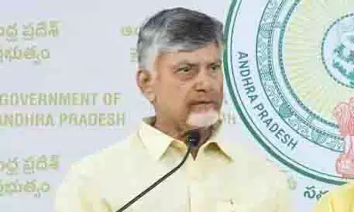 AP: नायडू ने निर्वाचन क्षेत्र स्तर पर विकास की योजना बनाई