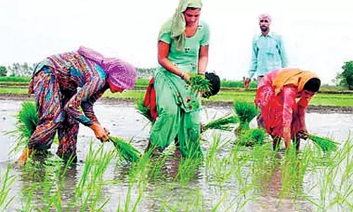 Haryana :  विशेषज्ञों ने जैविक खेती योजनाओं को सराहा किसानों ने कहा