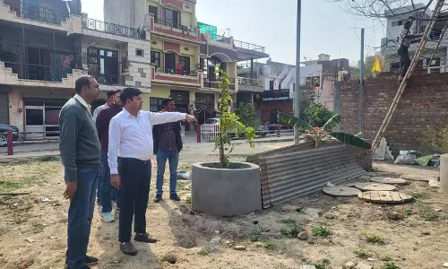 Yamunanagar निवासियों से जन्मदिन पर पार्कों के सौंदर्यीकरण का आग्रह