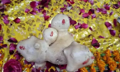 Editor: अजीबोगरीब आकार के आलू से बंगाल में दहशत