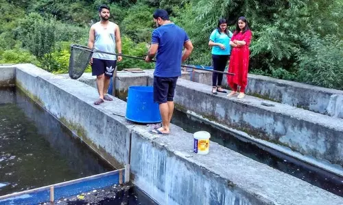 Himachal: मत्स्य विभाग ने जलवायु चुनौतियों के बीच ट्राउट किसानों को सहायता का आश्वासन दिया Himachal: मत्स्य विभाग ने जलवायु चुनौतियों के बीच ट्राउट किसानों को सहायता का आश्वासन दिया