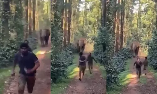 दो युवकों पर टूट पड़ा विशालकाय हाथी, देखें दिल दहला देने वाला VIDEO