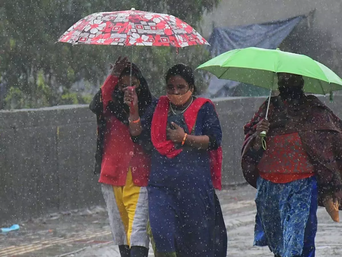 Tamil Nadu: 6 दिन तक धूप खिलेगी! बारिश की संभावना Tamil Nadu: 6 दिन तक धूप खिलेगी! बारिश की संभावना