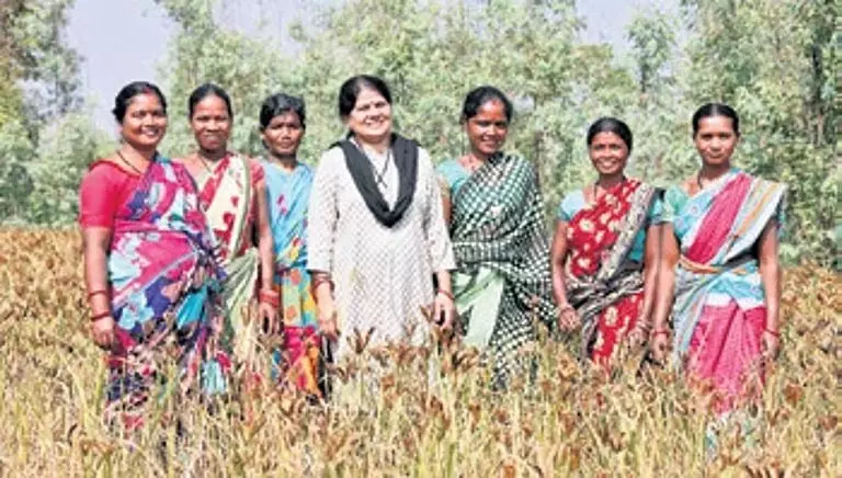 टाटा पावर साउथर्न Odisha डिस्ट्रीब्यूशन लिमिटेड ने जलवायु अनुकूल बाजरा खेती परियोजना शुरू की टाटा पावर साउथर्न Odisha डिस्ट्रीब्यूशन लिमिटेड ने जलवायु अनुकूल बाजरा खेती परियोजना शुरू की
