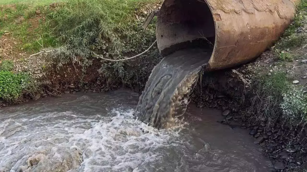 Chemical Pollution: आज की दुनिया में कोई भी जगह सुरक्षित नहीं Chemical Pollution: आज की दुनिया में कोई भी जगह सुरक्षित नहीं