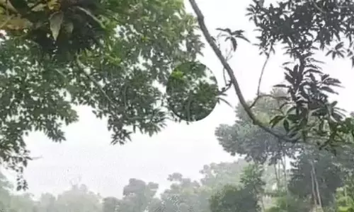 Chhattisgarh: दिनभर तेज धूप और शाम को आज इन जिलों में बारिश होने के आसार Chhattisgarh: दिनभर तेज धूप और शाम को आज इन जिलों में बारिश होने के आसार
