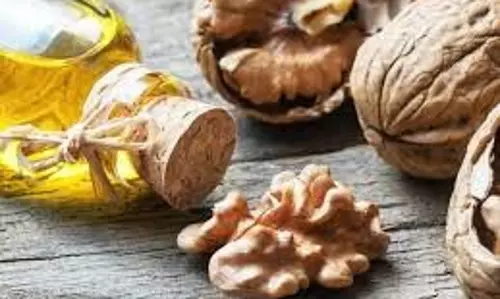 Walnut Oil for Hair: बालों के लिए बेहद फायदेमंद है अखरोट का तेल Walnut Oil for Hair: बालों के लिए बेहद फायदेमंद है अखरोट का तेल