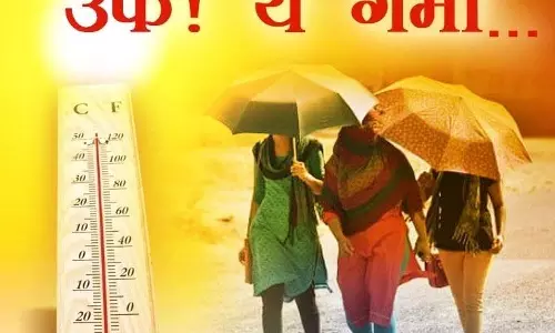 Summer : लू-गर्मी से बचने के लिए फ्री और असरदार उपाय