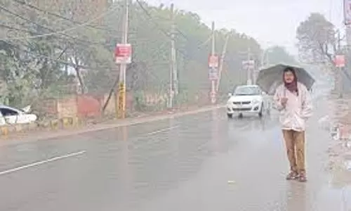 Haryana Weather:  फिर बदला मौसम, जानें कब होगी बारिश