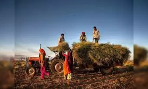 Haryana : किसानों को जल संरक्षण, फसल विविधीकरण के लिए प्रोत्साहन का इंतजार Haryana : किसानों को जल संरक्षण, फसल विविधीकरण के लिए प्रोत्साहन का इंतजार