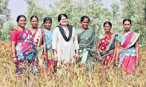 टाटा पावर साउथर्न Odisha डिस्ट्रीब्यूशन लिमिटेड ने जलवायु अनुकूल बाजरा खेती परियोजना शुरू की