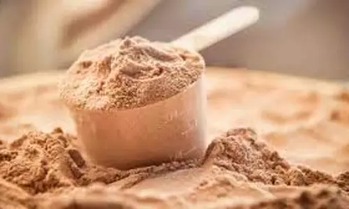 घर पर बना प्रोटीन पाउडर बनाने की विधि