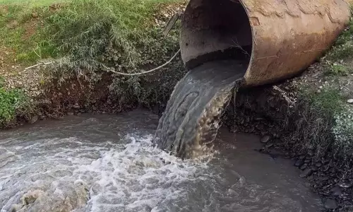 Chemical Pollution: आज की दुनिया में कोई भी जगह सुरक्षित नहीं Chemical Pollution: आज की दुनिया में कोई भी जगह सुरक्षित नहीं