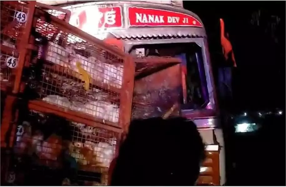 MP Accident: मुर्गी से भरी पिकअप और ट्रक में जोरदार टक्कर, दो की मौत,कई मुर्गियां मरीं MP Accident: मुर्गी से भरी पिकअप और ट्रक में जोरदार टक्कर, दो की मौत,कई मुर्गियां मरीं