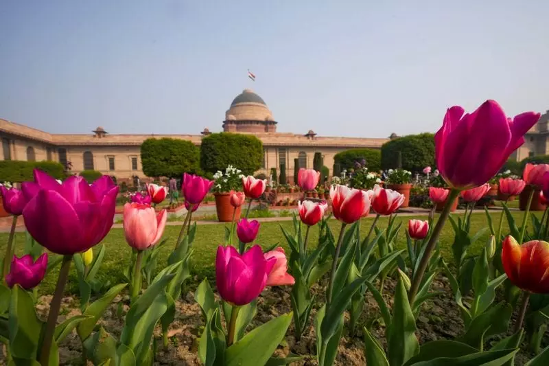 Delhi: राष्ट्रपति भवन में उद्यम उत्सव का उद्घाटन समारोह Delhi: राष्ट्रपति भवन में उद्यम उत्सव का उद्घाटन समारोह