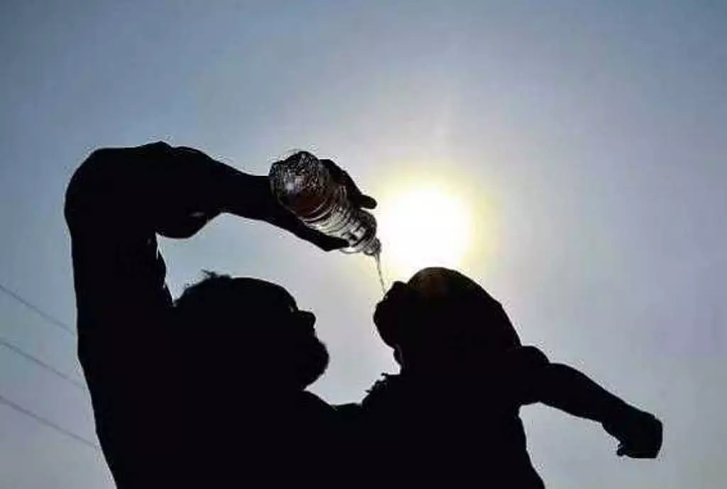 Tamil Nadu में अगले 6 दिनों तक तापमान में वृद्धि होगी Tamil Nadu में अगले 6 दिनों तक तापमान में वृद्धि होगी