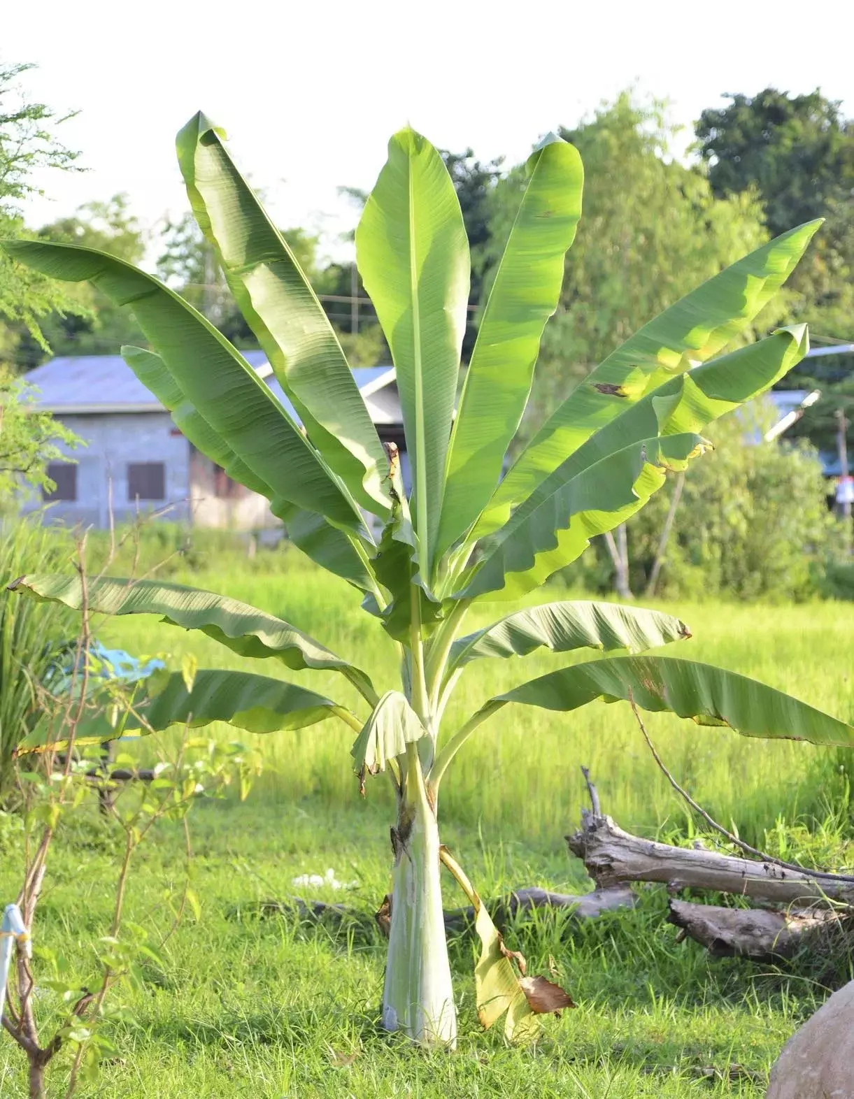 धर्म: गुरुवार को ऐसा करने से परिवार पर श्री हरि और मां लक्ष्मी की कृपा बनी रहती है धर्म: गुरुवार को ऐसा करने से परिवार पर श्री हरि और मां लक्ष्मी की कृपा बनी रहती है