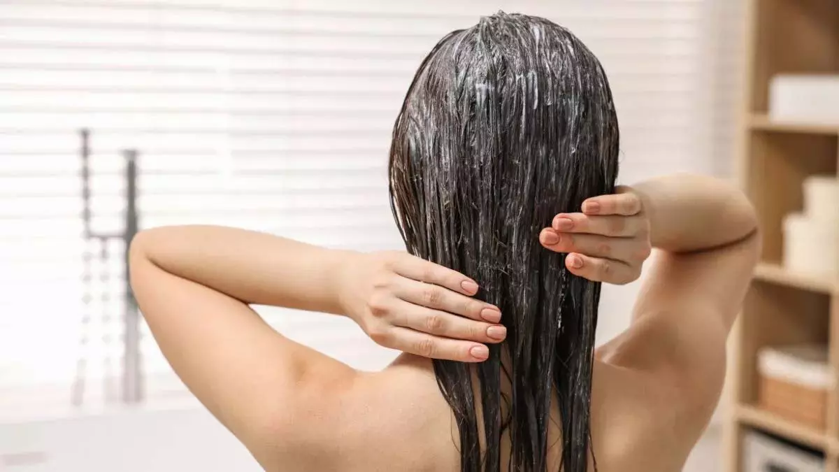 गर्मियों में बालों की देखभाल: स्वस्थ और चमकदार बालों के लिए 5 DIY हेयर मास्क गर्मियों में बालों की देखभाल: स्वस्थ और चमकदार बालों के लिए 5 DIY हेयर मास्क