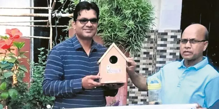 घरेलू गौरैया की संख्या में गिरावट चिंता का विषय घरेलू गौरैया की संख्या में गिरावट चिंता का विषय