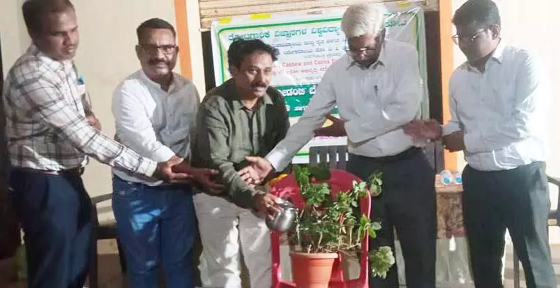 जिले में काजू उगाने की भरपूर संभावना है: गनीगेरा की सलाह जिले में काजू उगाने की भरपूर संभावना है: गनीगेरा की सलाह
