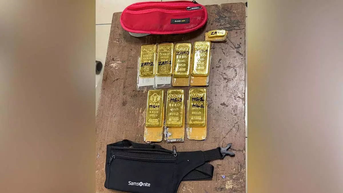 मुंबई DRI ने ईरानी तस्करी सिंडिकेट के प्रमुख सदस्य को गिरफ्तार किया मुंबई DRI ने ईरानी तस्करी सिंडिकेट के प्रमुख सदस्य को गिरफ्तार किया