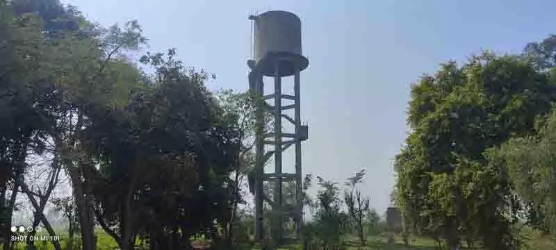 Naushera Pannuan में नागरिक समस्याएं बहुत हैं Naushera Pannuan में नागरिक समस्याएं बहुत हैं