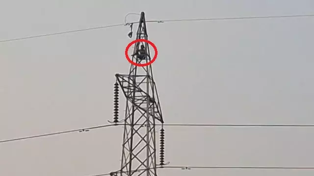 टिटलागढ़ में युवक के टावर पर चढ़ने से मचा हड़कंप, बचाव अभियान जारी टिटलागढ़ में युवक के टावर पर चढ़ने से मचा हड़कंप, बचाव अभियान जारी