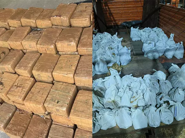 CBN नीमच ने विभिन्न नशा विरोधी अभियानों में 12 लोगों को किया गिरफ्तार, गांजा, पोस्त और अफीम जब्त की CBN नीमच ने विभिन्न नशा विरोधी अभियानों में 12 लोगों को किया गिरफ्तार, गांजा, पोस्त और अफीम जब्त की