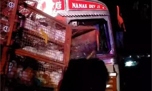 MP Accident: मुर्गी से भरी पिकअप और ट्रक में जोरदार टक्कर, दो की मौत,कई मुर्गियां मरीं