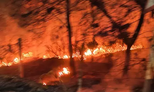 नर्सरी आग की चपेट में, कुछ ही दूरी पर है कलेक्टर बंगला